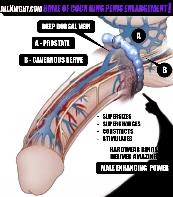 Allknight.com is where science meets your manhood to produce the size increase gains you’re looking for. The worlds best penis enlargement rings are ready to grow your penis.