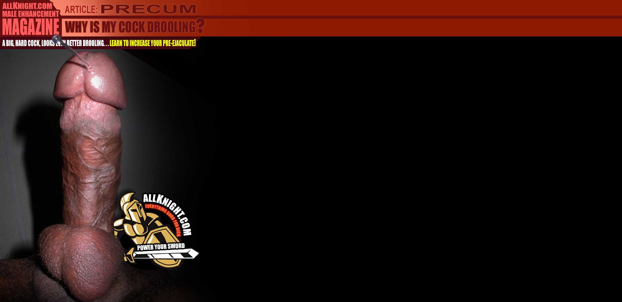 6 Inch Dick Average 6 Inch Penis Owners Guide