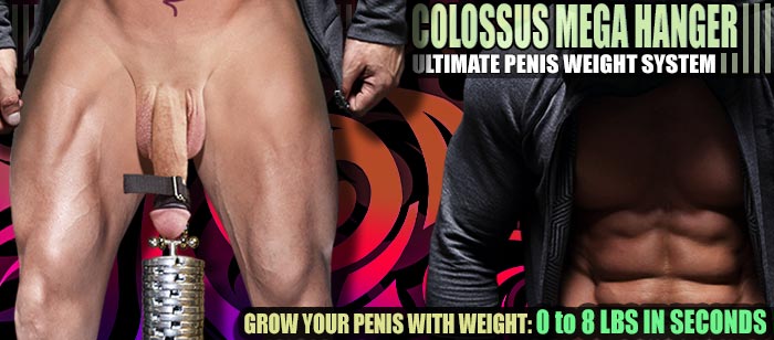 The ultimate modular penis weight system. Based on our Pendulum Weigh...