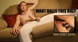 The secret to big low-hanging balls is training them. HARD-BOY Stackables are t...